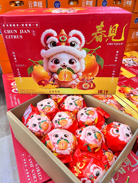 红箱爆汁春见丑橘礼盒