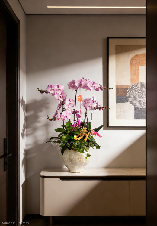 马跃高峰顶  商品图0