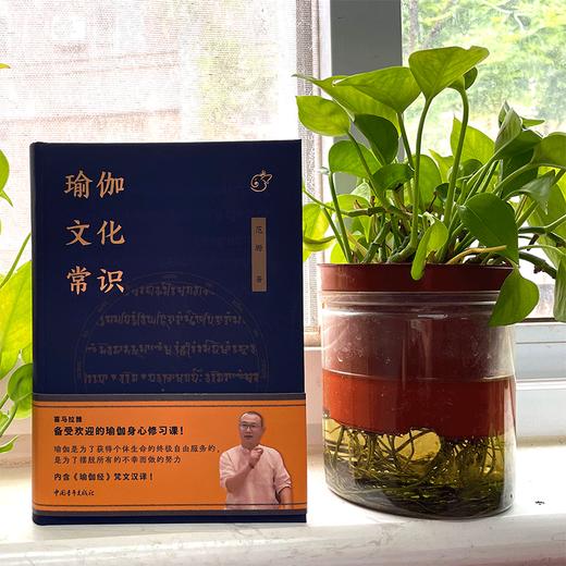 瑜伽文化常识 范塬著 中国青年出版社 商品图7