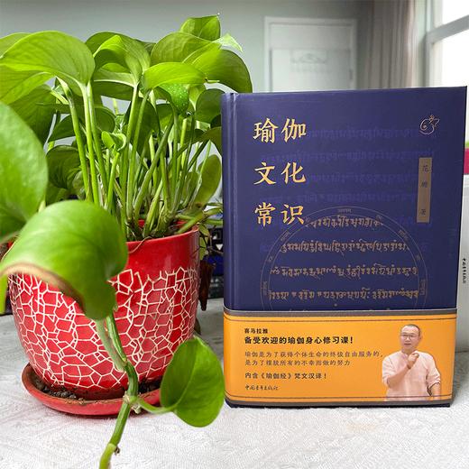 瑜伽文化常识 范塬著 中国青年出版社 商品图6