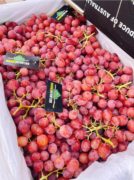 澳洲无籽红提礼盒 商品图3