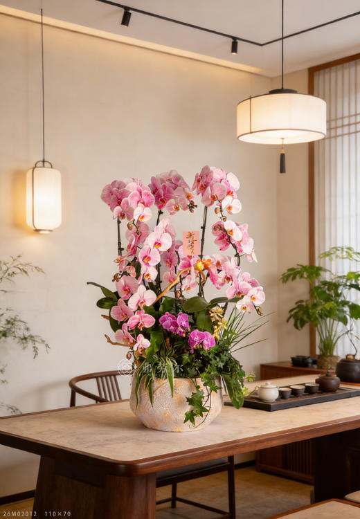 财马驻家门 商品图1