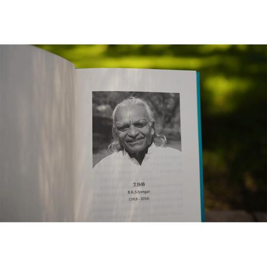 瑜伽末那识 艾扬格著 中国青年出版社 商品图9