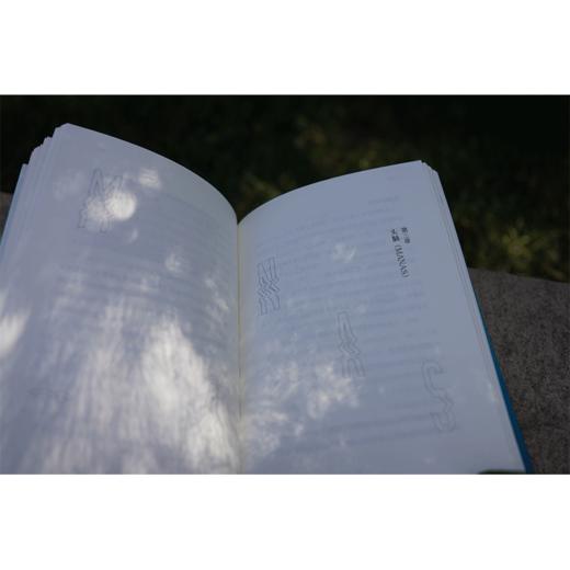 瑜伽末那识 艾扬格著 中国青年出版社 商品图7