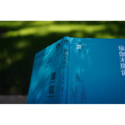 瑜伽末那识 艾扬格著 中国青年出版社 商品图6