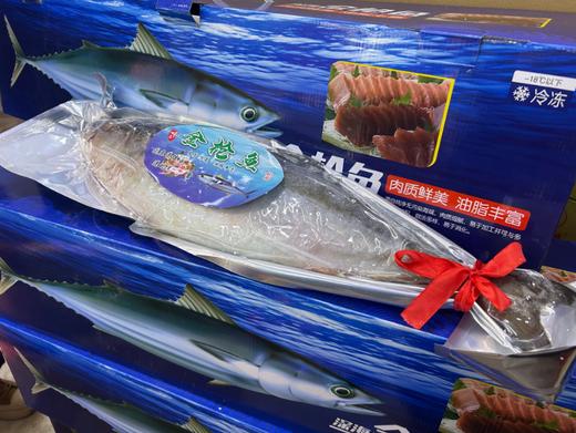 黄金鲅鱼一箱 商品图1