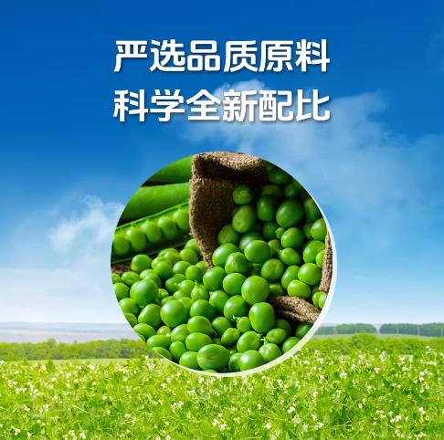 双塔低GI有机龙口粉丝200g 商品图3