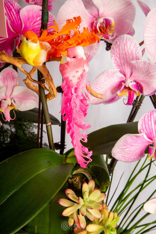 财马驻家门 商品图2