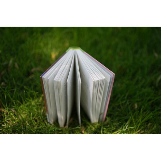 《正念减压》［英］沙玛什·阿利迪纳 中国青年出版社 商品图6