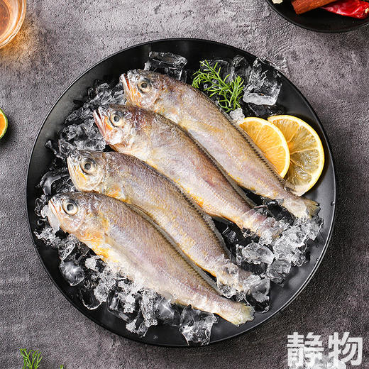 海捕野生三去小黄鱼400g｜浙江台州 商品图5