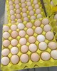金伶俐·山林土鸡蛋（50枚） 商品缩略图3