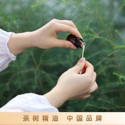 【茶树精油】适用眼部/口腔/头发/等身体护理~ 商品图6