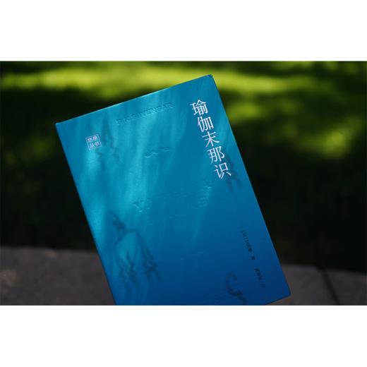 瑜伽末那识 艾扬格著 中国青年出版社 商品图5