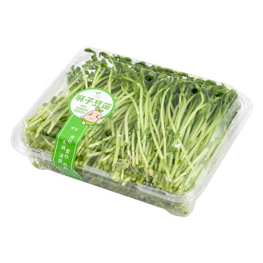 麻子豆苗 200g/份 商品图1