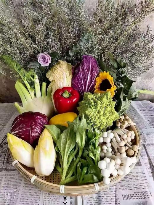 春节蔬菜礼盒 商品图0