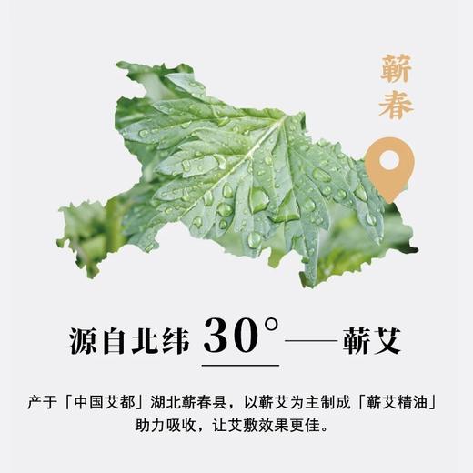 易灸灸艾敷贴盒装 5片/盒 商品图3