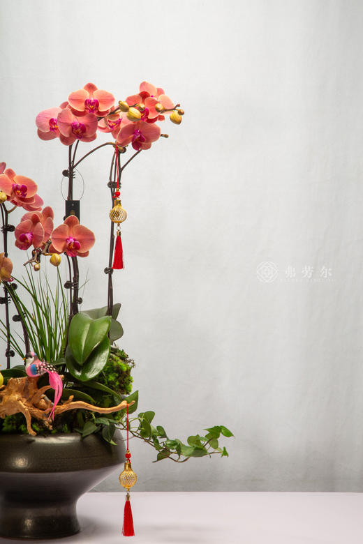 马跃春涧清 商品图2