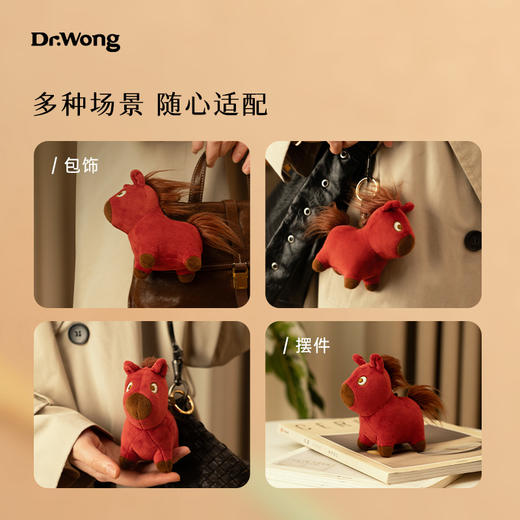 「Dr.旺」新年挂饰 商品图2