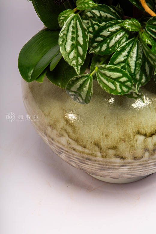 马鞍载安康 商品图3