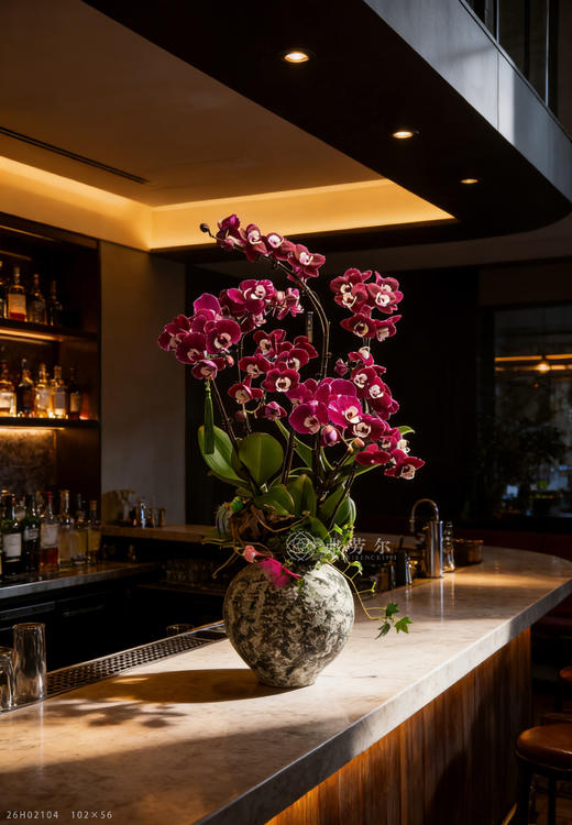 家兴马也欢 商品图1