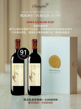 酩颂干红葡萄酒 2019年 双支礼盒装