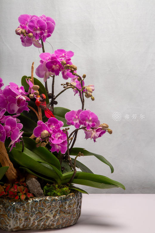 鞍马共温馨 商品图2