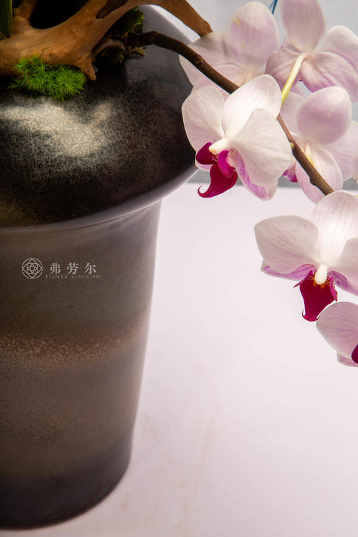 马铃响家合 商品图2