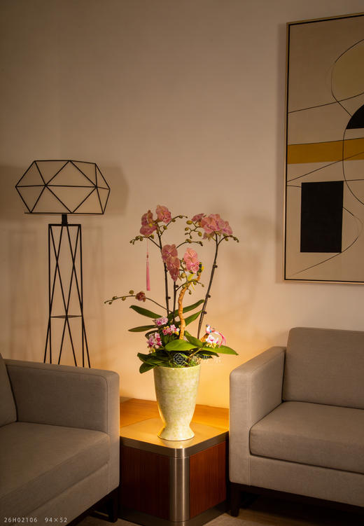 厩满马驹肥 商品图0