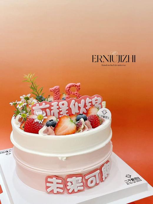 前程似锦 商品图2