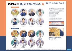 排球少年 天气 徽章 吧唧 A盒 全16种 9包/盒 国谷