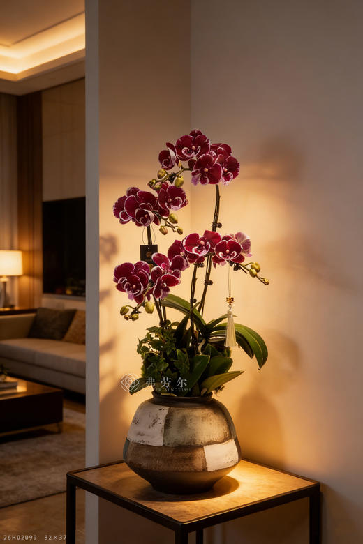 身健如骏马 商品图0