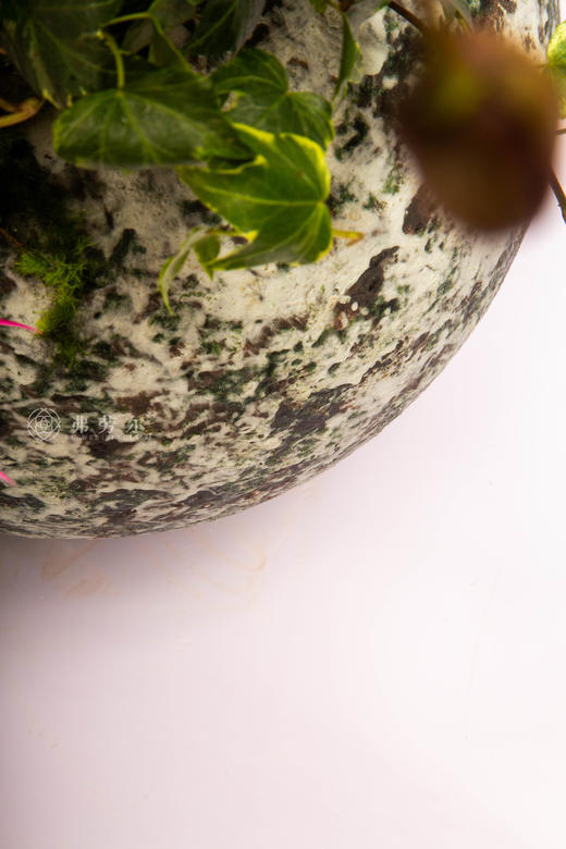 家兴马也欢 商品图3