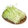 麻子豆苗 200g/份 商品缩略图2