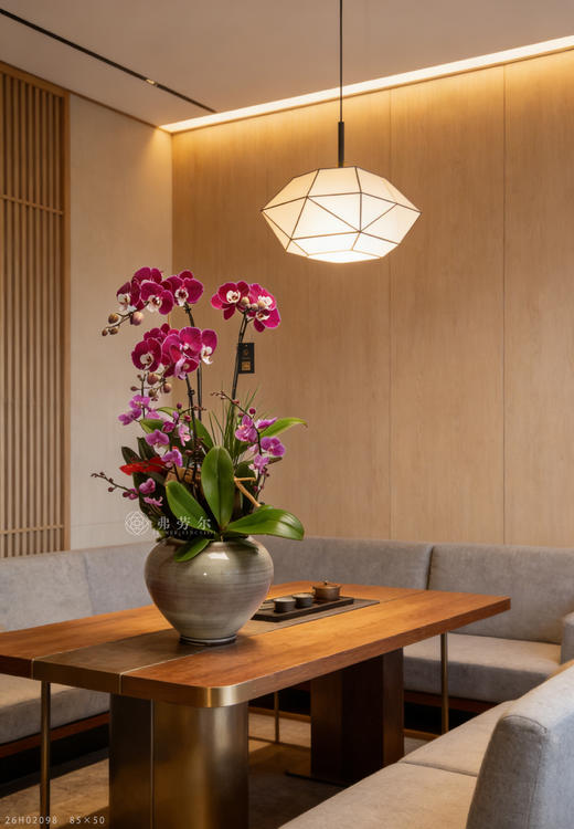 驿马送财频 商品图1