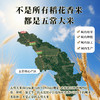 磨盘山有机五常大米5kg 商品缩略图3
