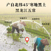 磨盘山有机五常大米5kg 商品缩略图4