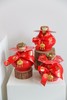 新年注定红神奇植物荷兰石蜡朱顶红 商品缩略图8