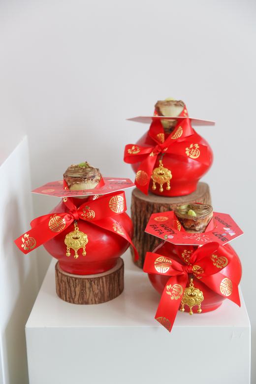 新年注定红神奇植物荷兰石蜡朱顶红 商品图8