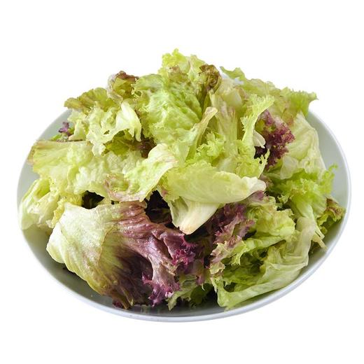 免洗罗莎红生菜 约60g/袋 商品图2