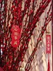 年年有银留 商品缩略图2