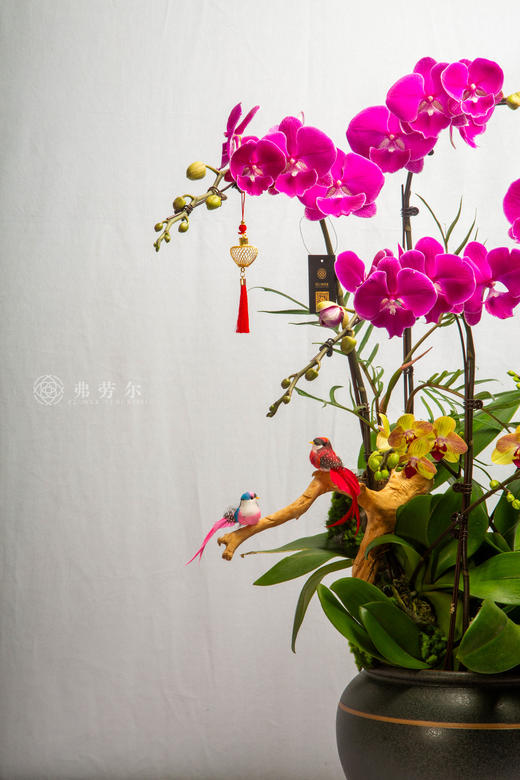 马驰轻似燕 商品图2