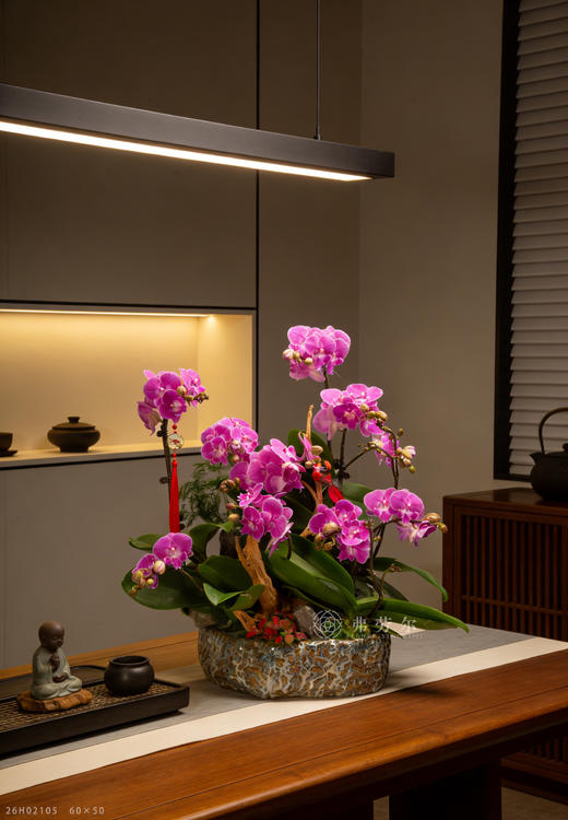 鞍马共温馨 商品图1