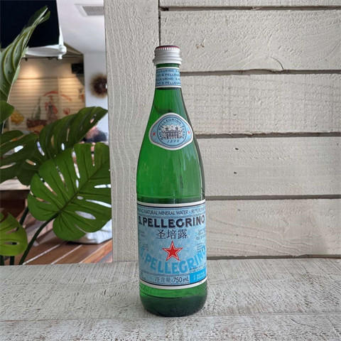圣培露750ml充气天然矿泉水 750ml/瓶 商品图0