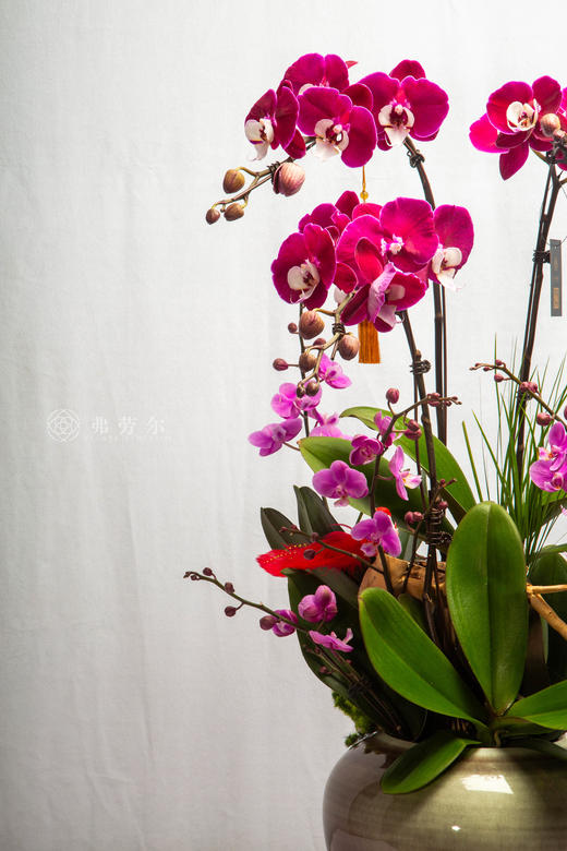 驿马送财频 商品图2