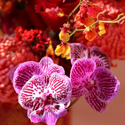 2026新年「红红火火」花礼 商品图1