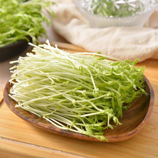 麻子豆苗 200g/份 商品图0
