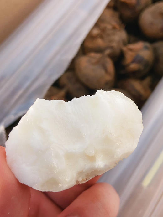 脆吉吉马蹄  产地直供 更甜的大荸荠 商品图10