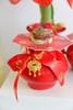 新年注定红神奇植物荷兰石蜡朱顶红 商品缩略图1