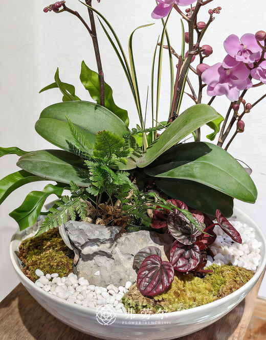 马壮人强 商品图2