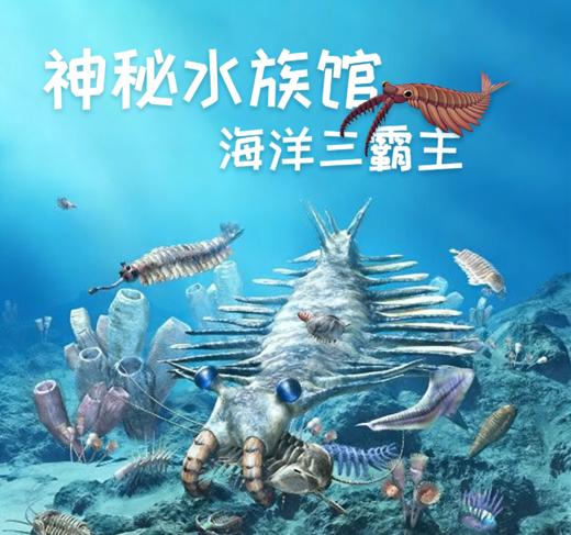 贵地博|【神秘水族馆】远古时代霸主 商品图0
